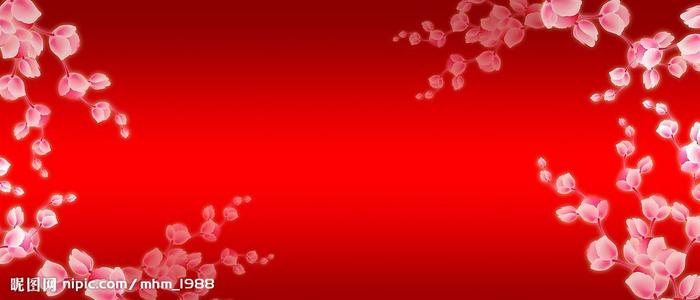 高中毕业证dyno是什么